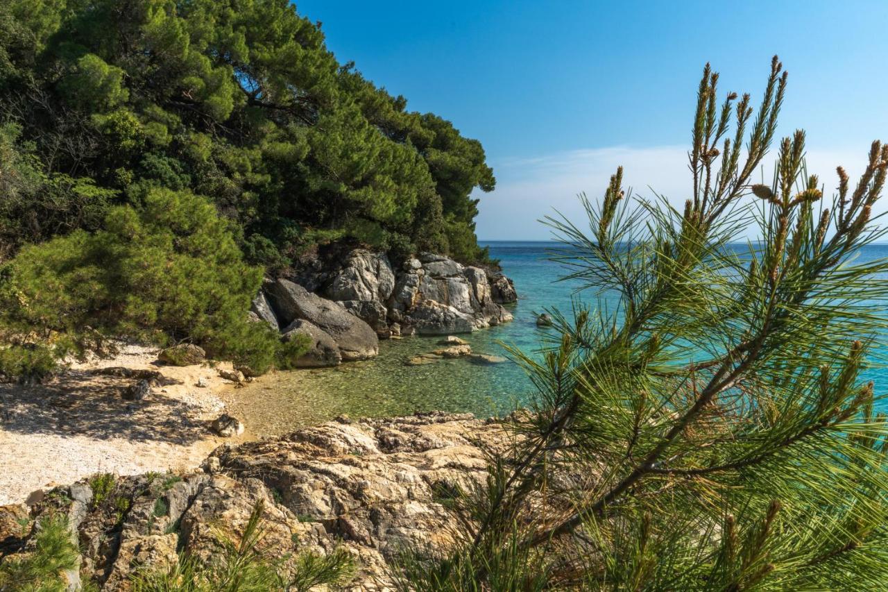 Galapagus Privat Beach & Boat Dock Διαμέρισμα Metajna Εξωτερικό φωτογραφία