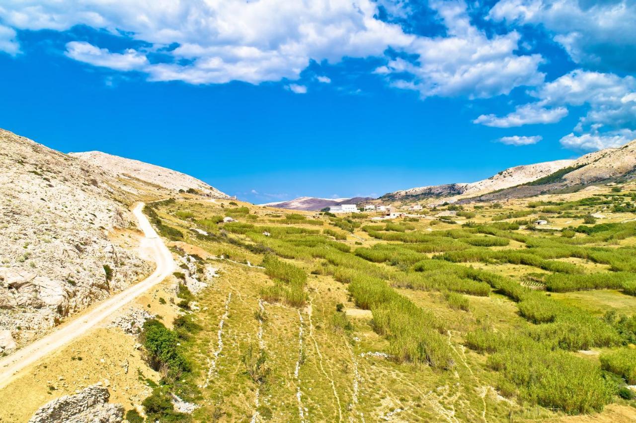 Galapagus Privat Beach & Boat Dock Διαμέρισμα Metajna Εξωτερικό φωτογραφία